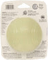 ChuckIt! Max Glow Ball, X-Large
