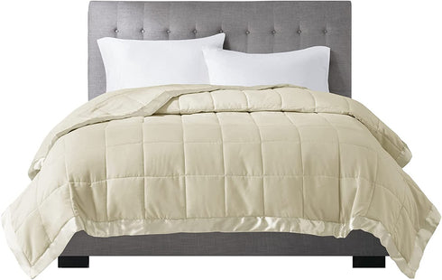 Madison Park Down Alternative Blanket Hypoallergenic 3M Scotchgard Stain Resistant Bedroom Bedding, Standard King, Windom Ivory