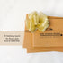 Copper Cocktail Picks (Set of 12) 4? Copper Stir Sticks for Bloody Mary, Tom Collins, Olive Skewers, Drink Garnish, Shrimp or Appetizer Charcuterie, Rose Gold Cocktail Picks