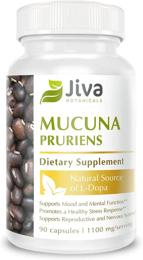 Jiva Botanicals - Mucuna Pruriens Capsules 1100 mg - Precursor to Dopamine Supplements - Velvet Beans containing L Dopa (L-Dopa) - Mucuna Pruriens Extract in Mucuna Pruriens Powder Form - 90 Capsules