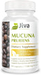 Jiva Botanicals - Mucuna Pruriens Capsules 1100 mg - Precursor to Dopamine Supplements - Velvet Beans containing L Dopa (L-Dopa) - Mucuna Pruriens Extract in Mucuna Pruriens Powder Form - 90 Capsules