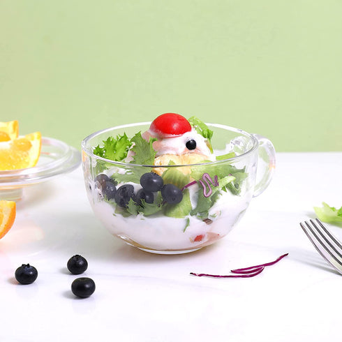 Glass Cereal Bowl Glass Soup Bowl with Handle , Clear Small Bowls with Glass Lid Oatmeal Breakfast Bowls Microwave Safe Glassware Yogurt Bowl for Dessert Pasta Rice,600ml/20 oz