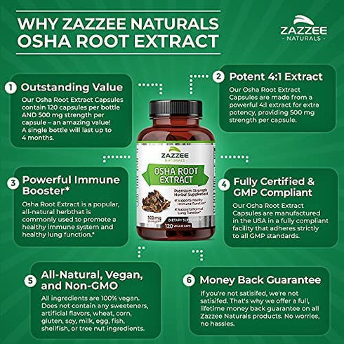 Zazzee OSHA Root Extract 120 Vegan Capsules, 500 mg Strength, Potent 4:1 Extract, Ligusticum porteri, Non-GMO and All-Natural