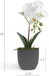 Barnyard Designs 14? Artificial Phalaenopsis Orchid, Indoor Faux Potted House Plant with Flowers for Home, Office, or Parlor Decor