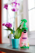 Miracle-Gro Ready-To-Use Orchid Plant Food Mist, 8 oz., Orchid Food Feeds Plants Instantly, 1 Pack