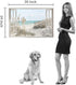 Hardy Gallery Coastal Beach Picture Wall Art: Beach Theme Window Canvas Art Prints Seascape Artwork for Bedroom (36? x 24œ x 1 Panel)