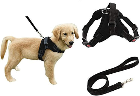 Heavy Duty Adjustable Pet Puppy Dog Safety Harness with Leash Lead Set Reflective No-Pull Breathable Padded Dog Leash Collar Chest Harness Vest with Handle for Small Medium Large Dogs Training Walking