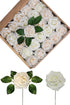 GeeSoft Valentine's Day Artificial Flowers Fake Roses 50 PCS w/Stem Rose Heads for Bouquets for Wedding Decorations Centerpieces Arrangements Party Home Decor (Cream White+Champagne, 50pcs)