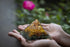 Opulent Crystals - Attract Abundance ORGONITE Pyramid - Green Aventurine - Tigers Eye - Citrine- Clear Quartz Energy Point Reiki Charged Crown Chakra Healing Meditation