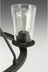 Progress Lighting P860003-001 Accessories, Clear