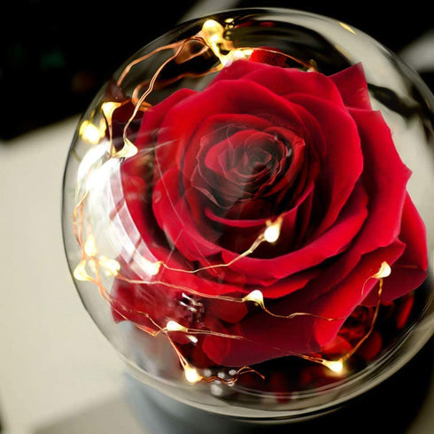 Valentine's Day Gifts for her,Birthday Gifts Beauty and Beast Rose for her, Forever Flower for Valentine's Day Wedding Anniversary Christmas Rose Gift Presents