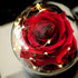 Valentine's Day Gifts for her,Birthday Gifts Beauty and Beast Rose for her, Forever Flower for Valentine's Day Wedding Anniversary Christmas Rose Gift Presents
