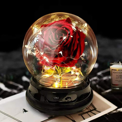Valentine's Day Gifts for her,Birthday Gifts Beauty and Beast Rose for her, Forever Flower for Valentine's Day Wedding Anniversary Christmas Rose Gift Presents