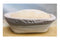 Ancient Einkorn Sourdough Starter Culture Bread Yeast Sourdough Culture
