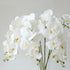 FagusHome 32" Artificial Phalaenopsis Flowers 4 Pcs with 2 Bundles Leaves Artificial Orchid Flowers Stem Plants for Home Décor (White)