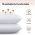 Acanva Bed Pillows 2 Pack Hotel Collection Luxury Soft Inserts for Sleeping-Breathable and Comfortable for Stomach Back Sleepers, Standard (20 in x 26 in (Pack of 2), White 2 Count