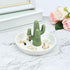 Ceramic Cactus Ring Holder Cactus Ring Dish for Jewelry Cactus Decor for Friend Sister Birthday Wedding Anniversary Bridal Engagement Christmas Gift for Women, Light Green