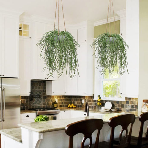 Artificial Hanging Plants Fake Greenery Succulent Potted Plant Ceramic Planter for Home Wall Indoor Outdoor Decor