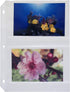C-Line Ring Binder Photo Storage Pages for 4 x 6 Inch Photos, Side Load, 4 Photos/Page, 50 Pages per Box (52564)