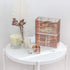 Moosy Life Rose Gold Desktop Organizer with Drawers, 2 Spaces, Acrylic, Moonlight Series
