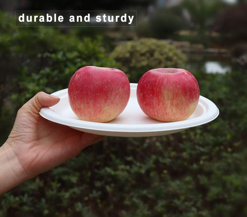 9 inch Compostable Plates, 100 Count Heavyduty Sugarcane/Bagasse and Bamboo Fibre Biodegradable Disposable Paper Plate