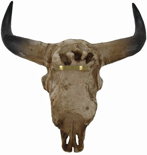 Mayrich Southwestern Steer Skull Wall Sculpture