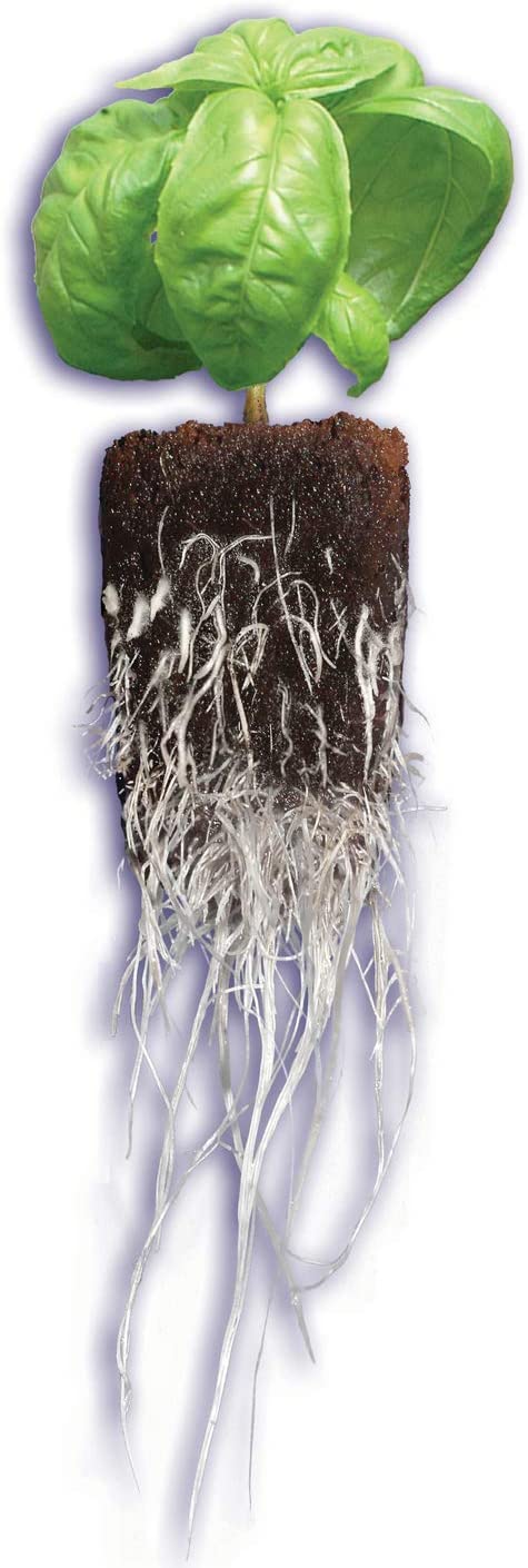 General Hydroponics Rapid Rooter Plant Starters, 50 Plugs