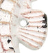 Weathered Cast Iron Seahorse Wall Hooks, White, Set of 3 (White)