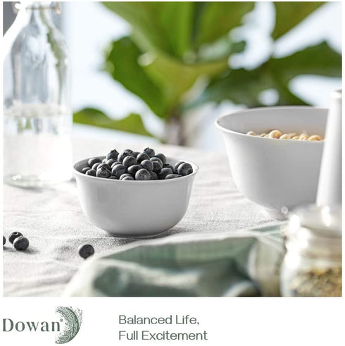 DOWAN Small Bowls, 10 Oz Bowl Set for Kitchen, Ceramic Ice Cream Bowls for Snack, Rice, Condiments, Side Dishes and Dessert, White Bouillon Cups Set of 6