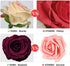 ETERNAL ANGEL Artificial Flowers Dark Red Fake Roses Real Looking Flannelette Flowers with Stem for DIY Arrangements Wedding Bouquets Centerpieces Bridal Shower Party Home Decorations- 16 Pcs