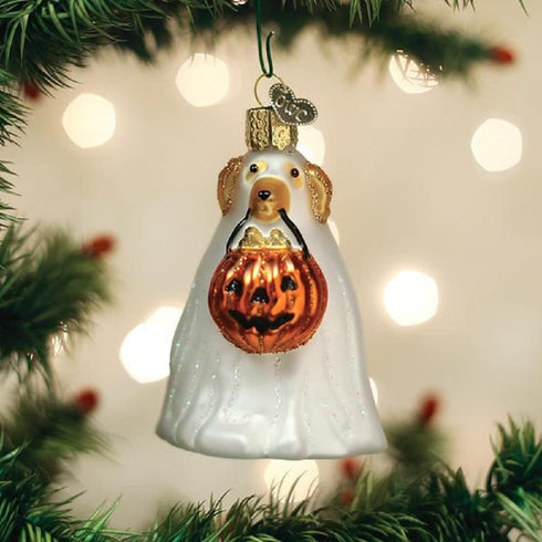 Old World Christmas Trick or Treat Pooch Glass Ornament Free Box 26088