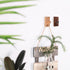 Wood Wall Hooks-(3 Beech Wood Hooks) TAOIFY Handmade Natural Wooden Hooks, Wall-Mounted Hooks, can Hang Clothes, Hats, Hangers, Towels, Heavy Objects