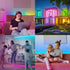 BTF-LIGHTING WS2812B RGB 5050SMD Individual Addressable 3.3FT 100(2x50)Pixels/m Flexible Black PCB Full Color LED Pixel Strip Dream Color IP30 Non-Waterproof for Bedroom,DIY Project Only DC5V
