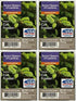 Better Homes and Gardens Fresh Cut Frasier Wax Cubes - 4-Pack