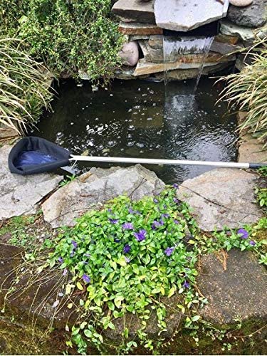 Danner Manufacturing, Inc. 2144 Pondmaster Compact Skimmer Pond Net, 47 x 10 x 0.6 inches, Black