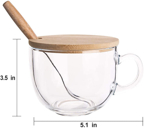 PARACITY Glass Cup 15OZ Clear Coffee Mug with Lids Spoon for Breakfast Tea,Milk,Beverage,Oats,yoghurt