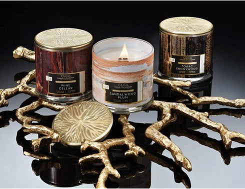 CLCo by Candle-lite Fireside Amber Scent, 14 oz. Single-Wick Aromatherapy Candle with 90 Hours of Burn Time, White