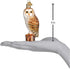 Old World Christmas Ornaments: Owls Glass Blown Ornaments for Christmas Tree, 3 x 3