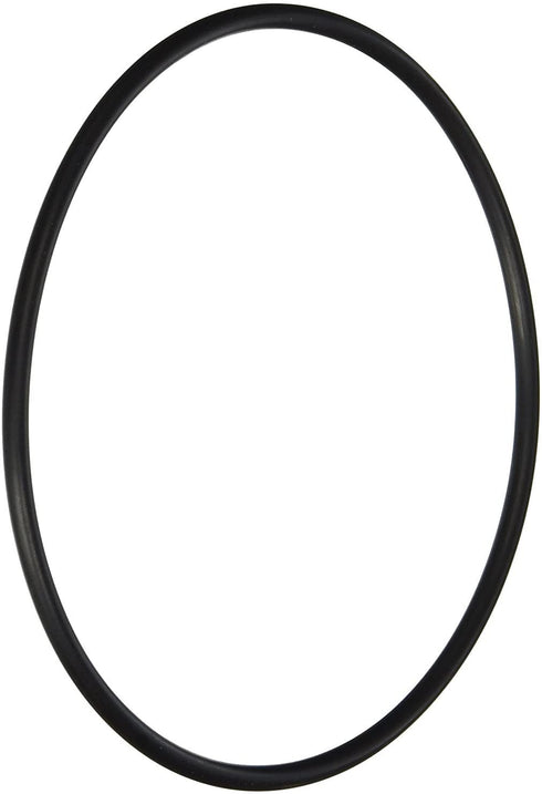 Hayward AXW542 O-Ring Replacement for Leaf Canisters Series W530 and W560
