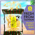 Saki Ika Dried Cuttlefish Snack | Hawaiian Seafood Jerky | High-Protein, Low-Fat, Low-Calorie (2.5 oz.)