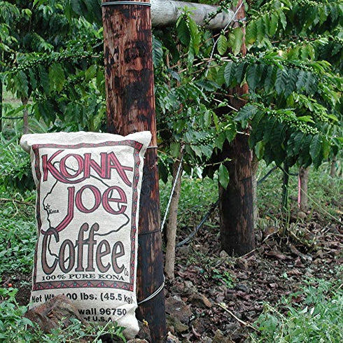 Kona Joe Coffee Rub Food Seasoning, All Natural Spices for Grilling and Seasoning Seafood, Beef or Chicken (1.7 oz)