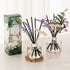 COCODOR Lavender Reed Diffuser/Little Forest / 6.7oz(200ml) / 1 Pack/Home Decor & Office Decor, Fragrance and Gifts