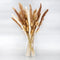 GREAT PEAK 100 Pcs Pampas Grass, 20 Pcs Natural Dried Pampas, 20Pcs White Pampas, 60Pcs Rabbit Tail Grass for Home and Boho Decor, Wedding Flower Arrangement, Fluffy Pampas Tall Grass Bouquet