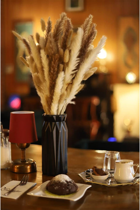GREAT PEAK 100 Pcs Pampas Grass, 20 Pcs Natural Dried Pampas, 20Pcs White Pampas, 60Pcs Rabbit Tail Grass for Home and Boho Decor, Wedding Flower Arrangement, Fluffy Pampas Tall Grass Bouquet