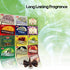 Hem 12 Assorted Boxes of Incense Cones, 12 X 10 (120 total)