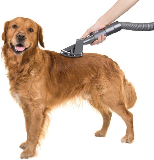 LANMU Groom Tool Attachment Compatible with Dyson V11 V10 V8 V7 V6 Vacuum Cleaner with Quick Release Converter Adapter, Dog Pet Grooming Brush