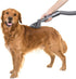LANMU Groom Tool Attachment Compatible with Dyson V11 V10 V8 V7 V6 Vacuum Cleaner with Quick Release Converter Adapter, Dog Pet Grooming Brush