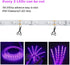 24W LED UV Black Light Strip Kit, Ultraviolet Waterproof IP65 16.4FT/5M 3528 300LEDs, 395nm-405nm Blacklight for DJ Bar Club Party Decor Night Fishing with 12V 2A Power Supply