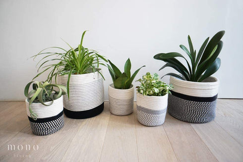 7 Inch Small Plant Basket, Mono Living, Rope Plant Basket Woven Basket for Plant Flower Pot Indoor Planter Boho Decor Small Cotton Rope Basket Grey and White