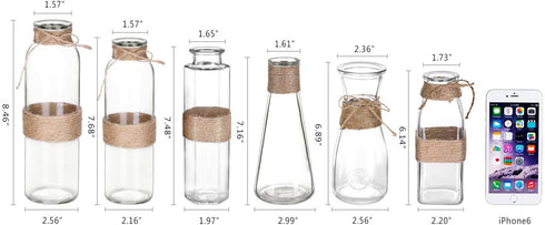 Jelofly Glass Vases Clear Flower Bud Vase in Differing Unique Shapes Creative Rope Design - Set of 6